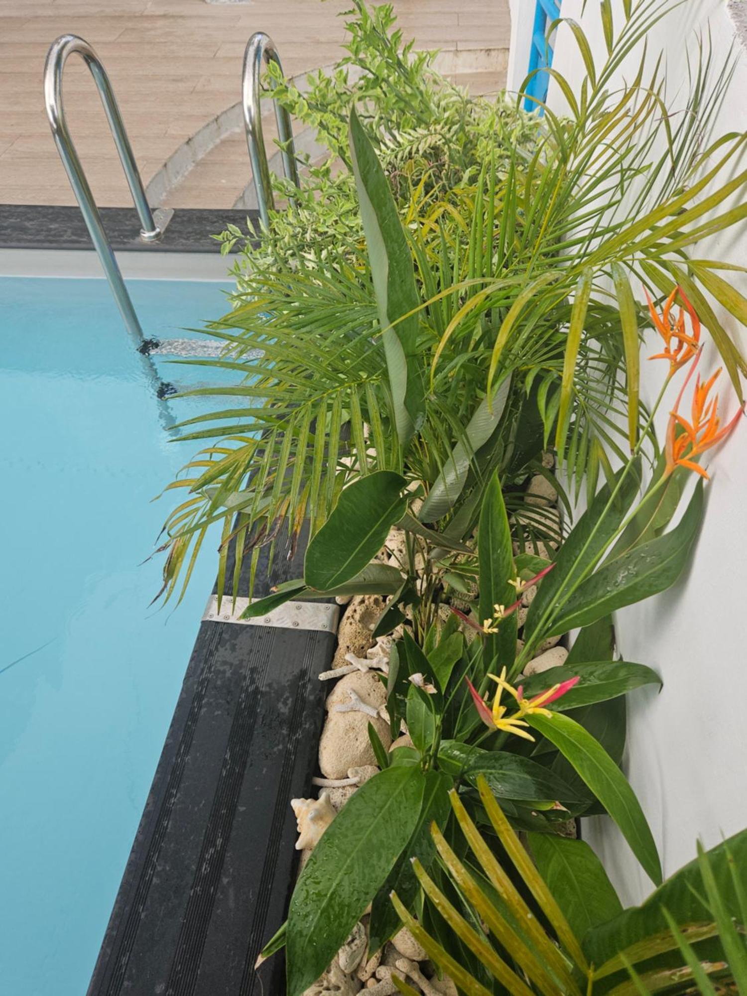 Ti Oasis Colibri, 1 Chambre, Piscine, A 150M De La Plage Sainte-Luce Buitenkant foto